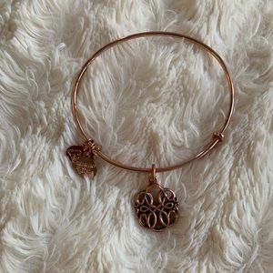 Alex and Ani Bracelet